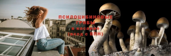амфетамин Покачи