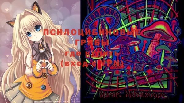 спиды Аркадак